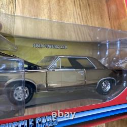 2006 Johnny Lightning 1965 PONTIAC GTO GOLD Shiny CHROME 1/24 Scale Muscle Cars