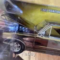 2006 Johnny Lightning 1965 PONTIAC GTO GOLD Shiny CHROME 1/24 Scale Muscle Cars